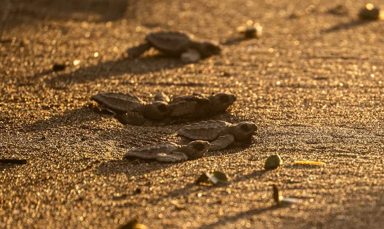 "Ciotka Mojego Męża Zaprasza Nas na Plażę, Ale Jestem Przeciwna. Taniej Jest Ich Nie Znać"