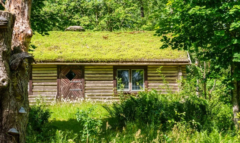 "Jestem Załamana, że Moja Córka i Jej Mąż Chcą Sprzedać Rodzinny Domek, Który Im Podarowałam"